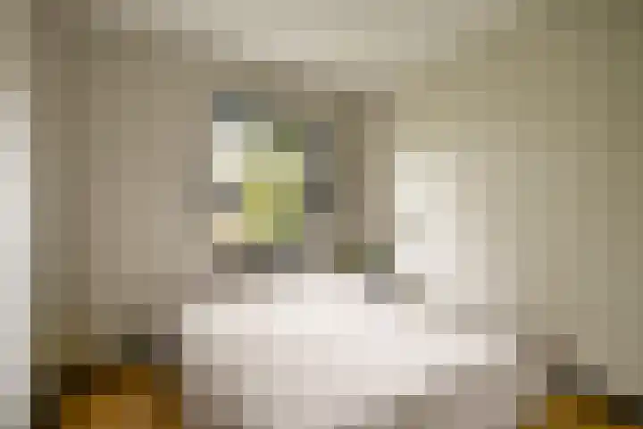 Van Esveldstraat 31 6 Utrecht thumbnail 16