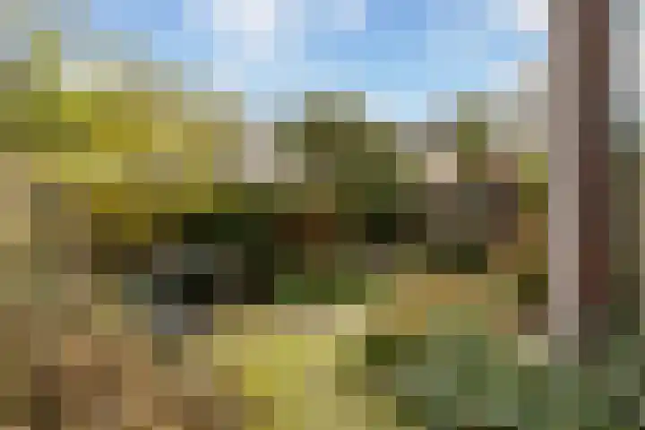 Van Everdingenlaan 26 Utrecht thumbnail 16
