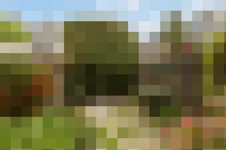 Van Everdingenlaan 26 Utrecht thumbnail 17