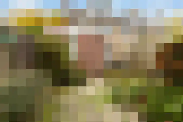 Van Everdingenlaan 26 Utrecht thumbnail 18