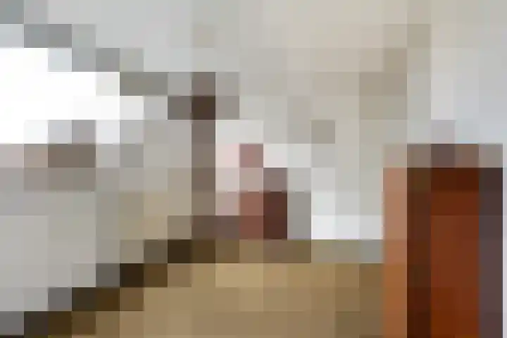 Van Everdingenlaan 26 Utrecht thumbnail 36