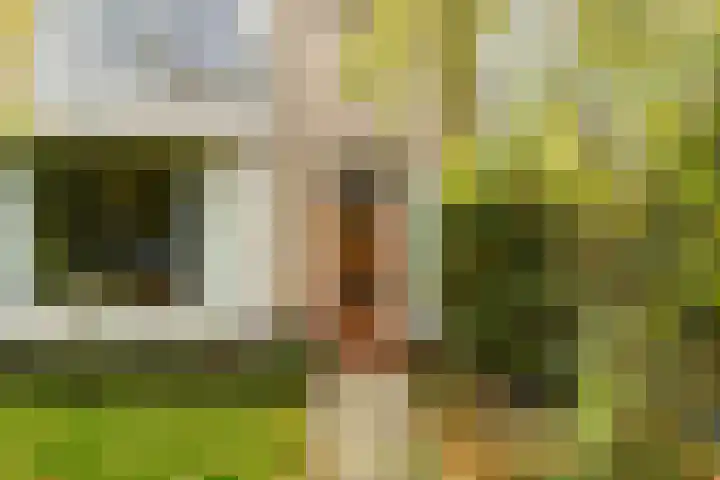 Van Everdingenlaan 26 Utrecht thumbnail 38