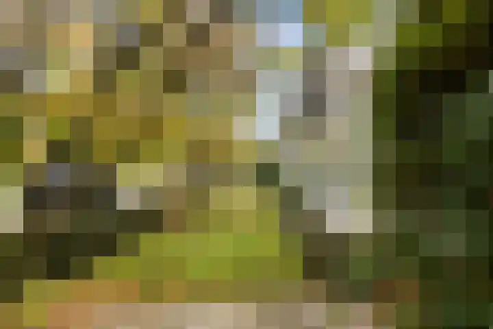 Van Everdingenlaan 26 Utrecht thumbnail 39