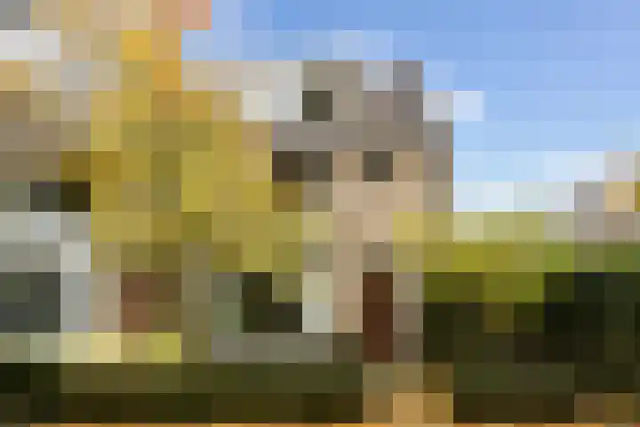Van Everdingenlaan 26 Utrecht thumbnail 40