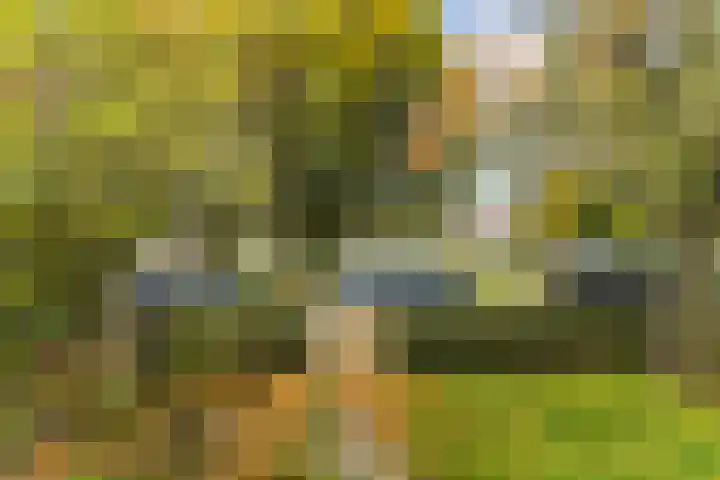Van Everdingenlaan 26 Utrecht thumbnail 42