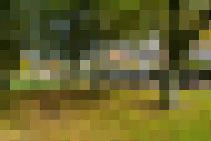 Van Everdingenlaan 26 Utrecht thumbnail 43