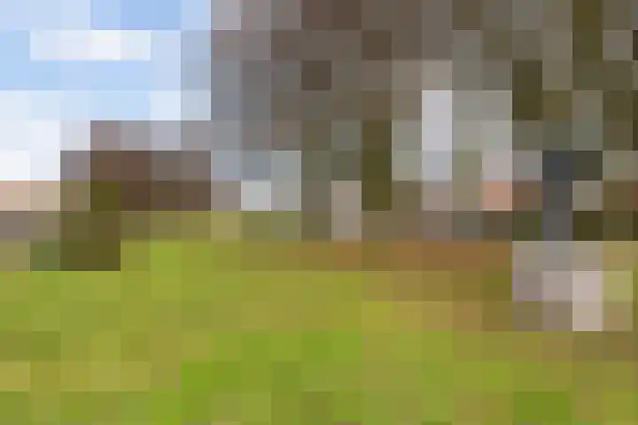 Van Everdingenlaan 26 Utrecht thumbnail 44