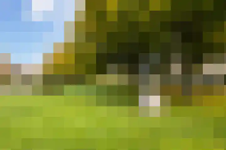 Van Everdingenlaan 26 Utrecht thumbnail 45