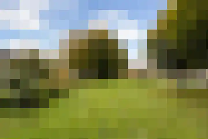 Van Everdingenlaan 26 Utrecht thumbnail 46