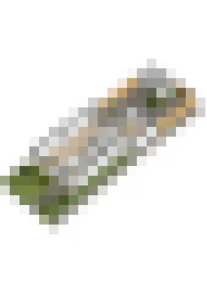 Van Everdingenlaan 26 Utrecht thumbnail 55