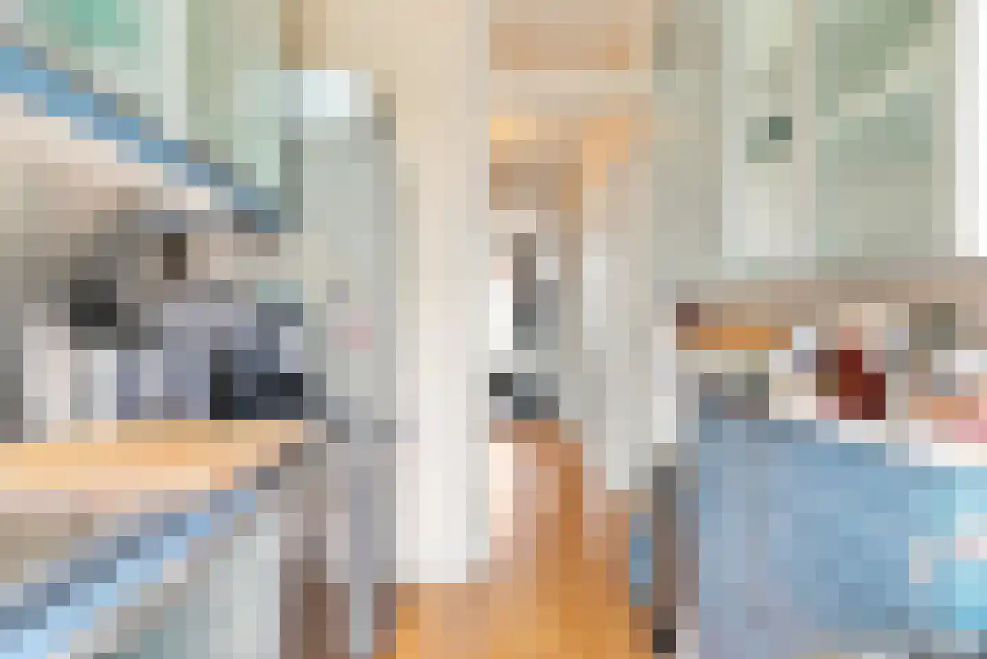 Van Everdingenstraat 5 Alkmaar thumbnail 19