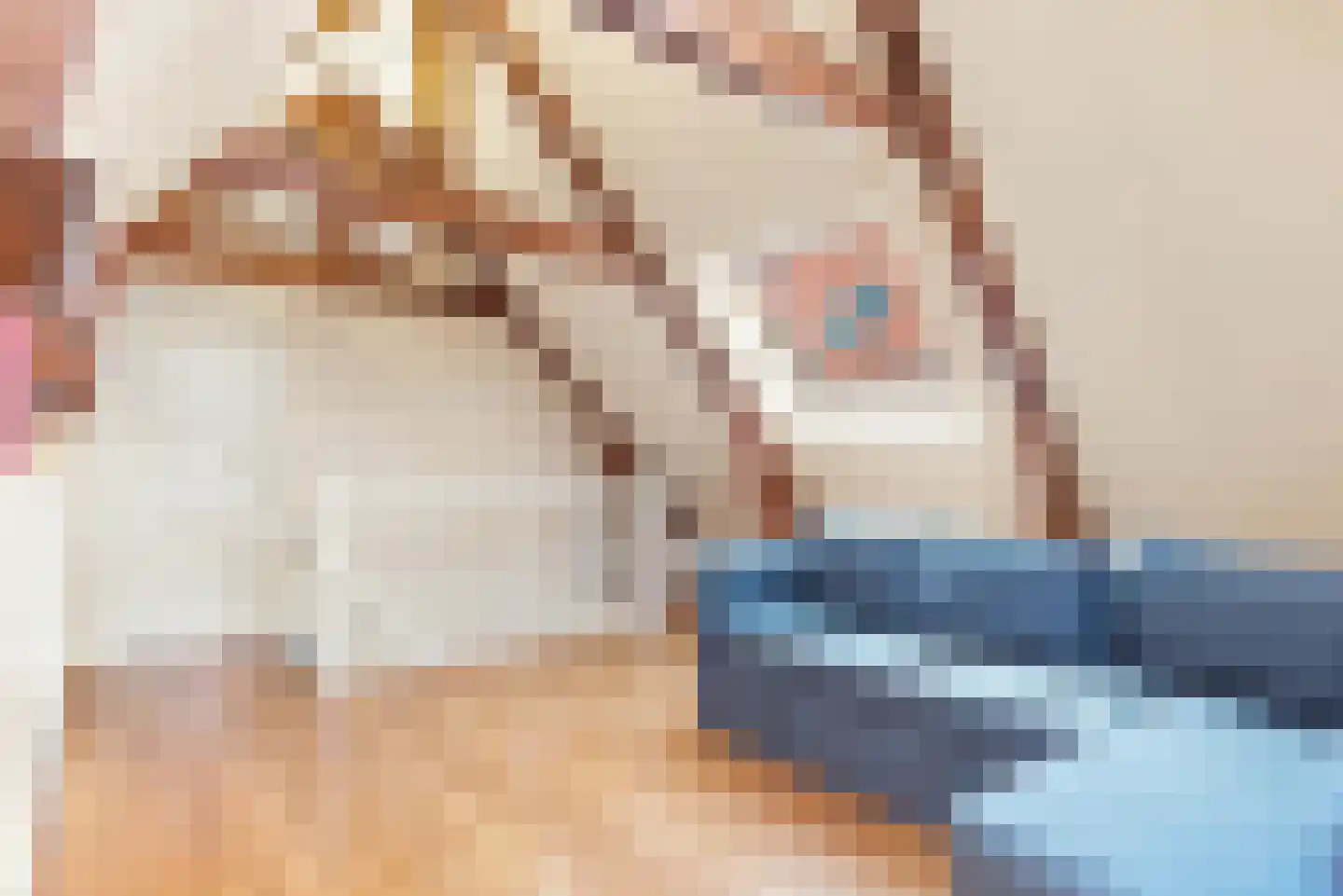 Van Everdingenstraat 5 Alkmaar thumbnail 28
