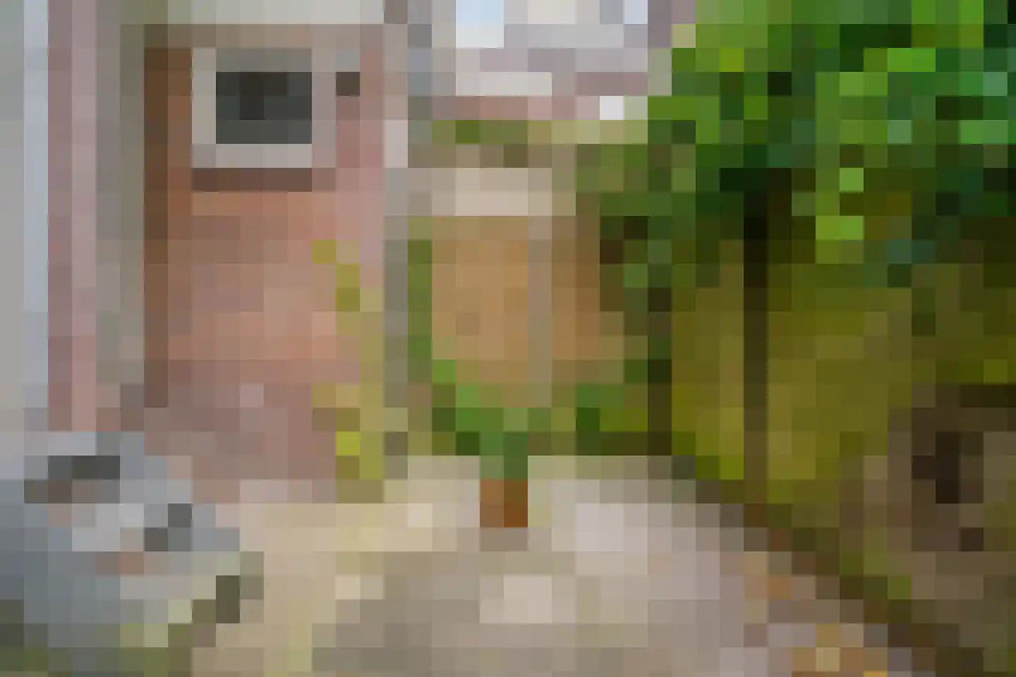 Van Everdingenstraat 5 Alkmaar thumbnail 35