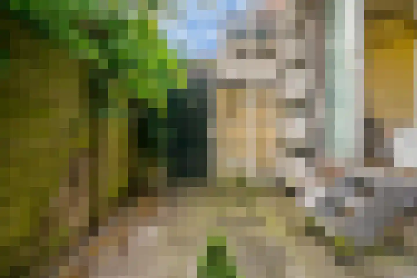 Van Everdingenstraat 5 Alkmaar thumbnail 36
