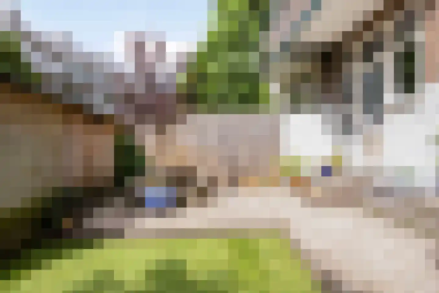 Van Eversdijckstraat 41 C Rotterdam thumbnail 20