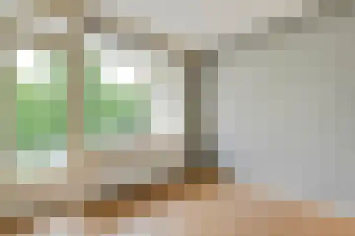 van Ewijcksingel 78 Meppel thumbnail 13