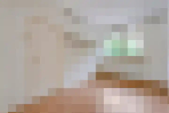 van Ewijcksingel 78 Meppel thumbnail 18