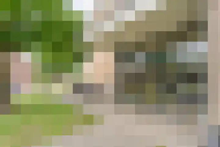 van Ewijcksingel 78 Meppel thumbnail 20