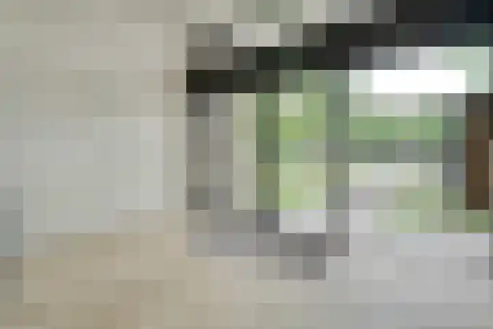 van Ewijcksingel 78 Meppel thumbnail 21