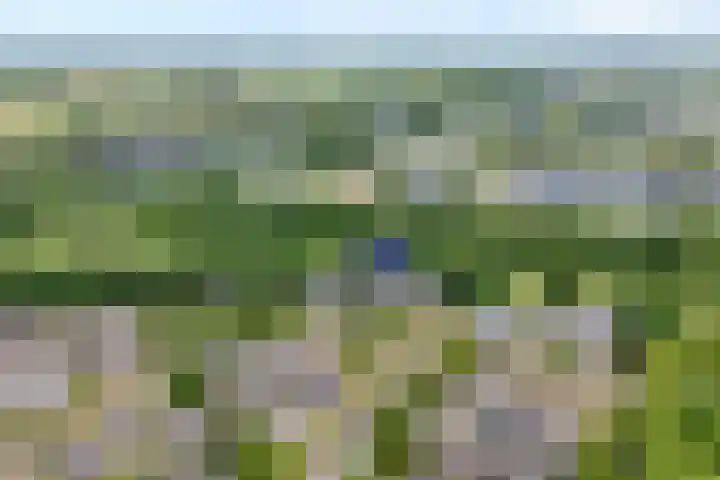 van Ewijcksingel 78 Meppel thumbnail 22