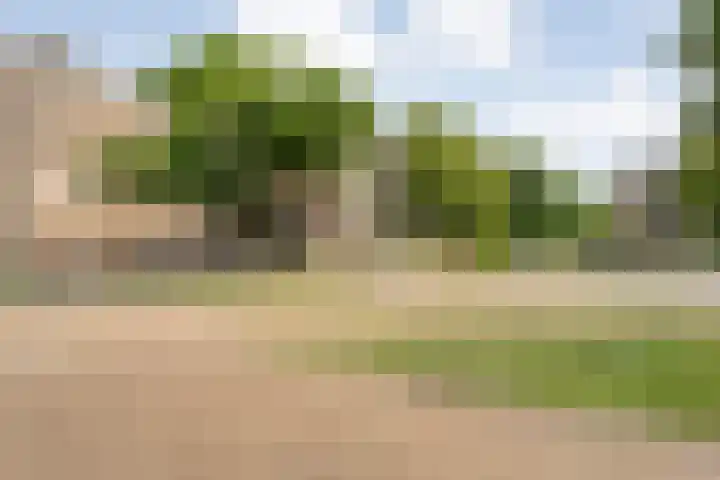 van Ewijcksingel 78 Meppel thumbnail 24