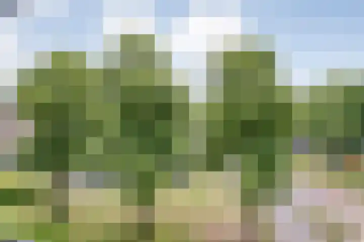 van Ewijcksingel 78 Meppel thumbnail 25