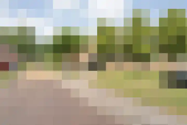 van Ewijcksingel 78 Meppel thumbnail 26