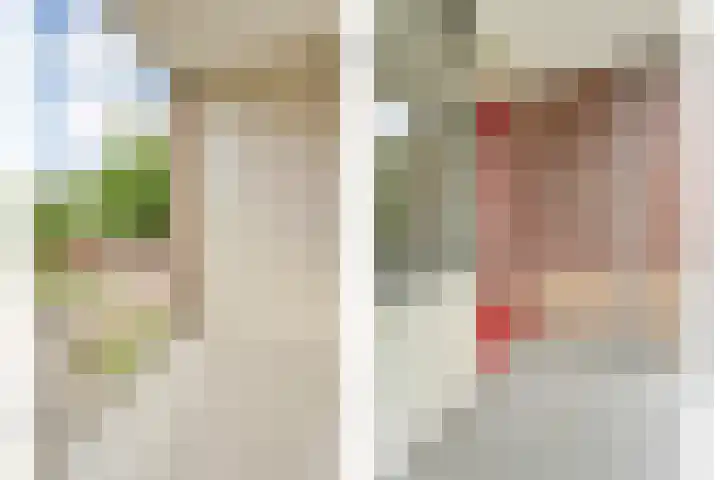 van Ewijcksingel 78 Meppel thumbnail 4
