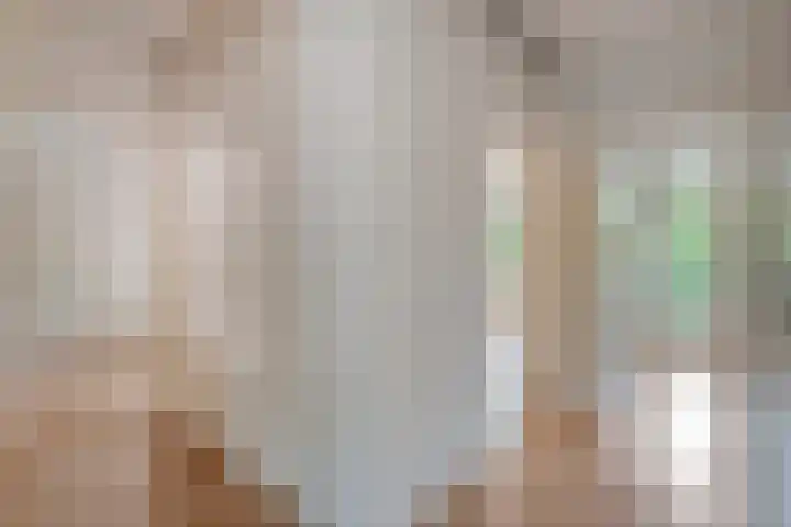 van Ewijcksingel 78 Meppel thumbnail 6