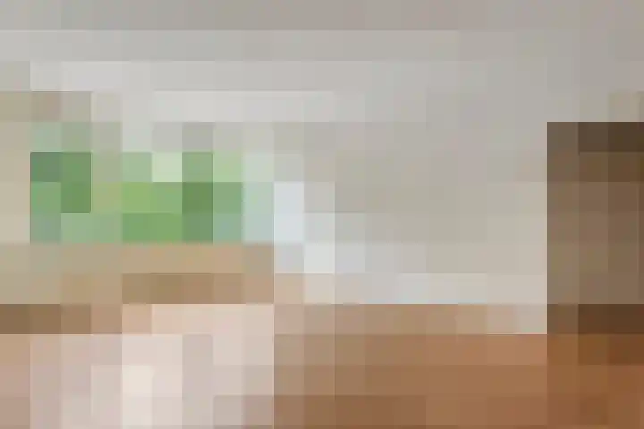 van Ewijcksingel 78 Meppel thumbnail 8
