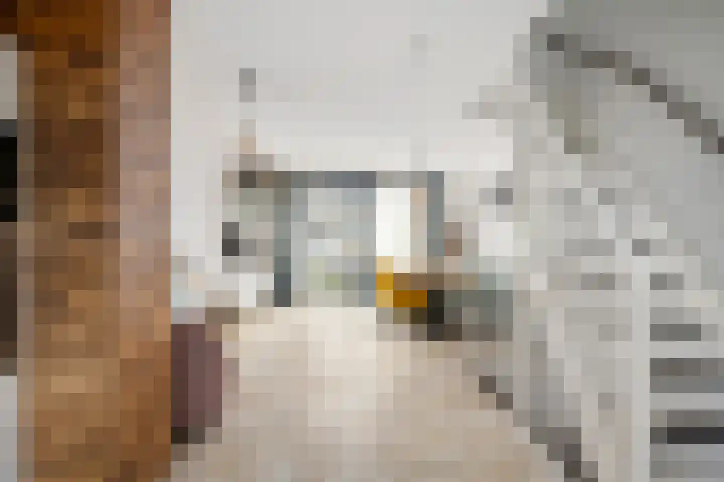 Van Ewijckstraat 14 Dordrecht thumbnail 10