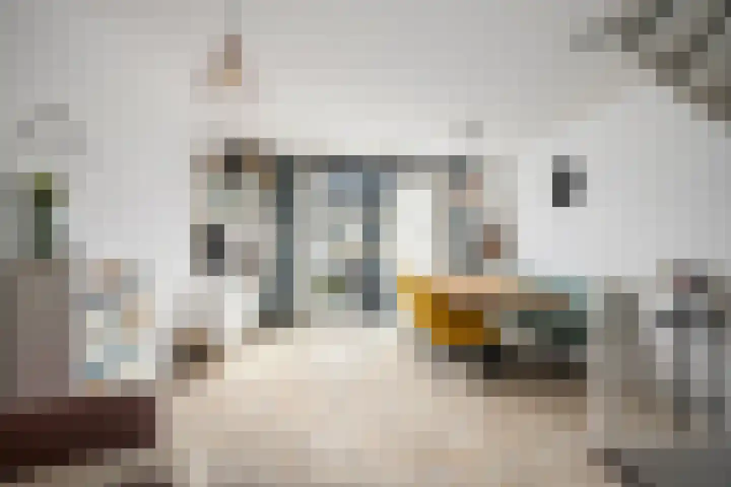Van Ewijckstraat 14 Dordrecht thumbnail 11