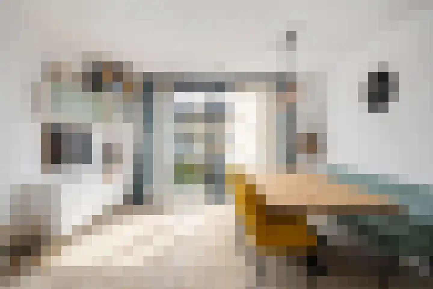 Van Ewijckstraat 14 Dordrecht thumbnail 12