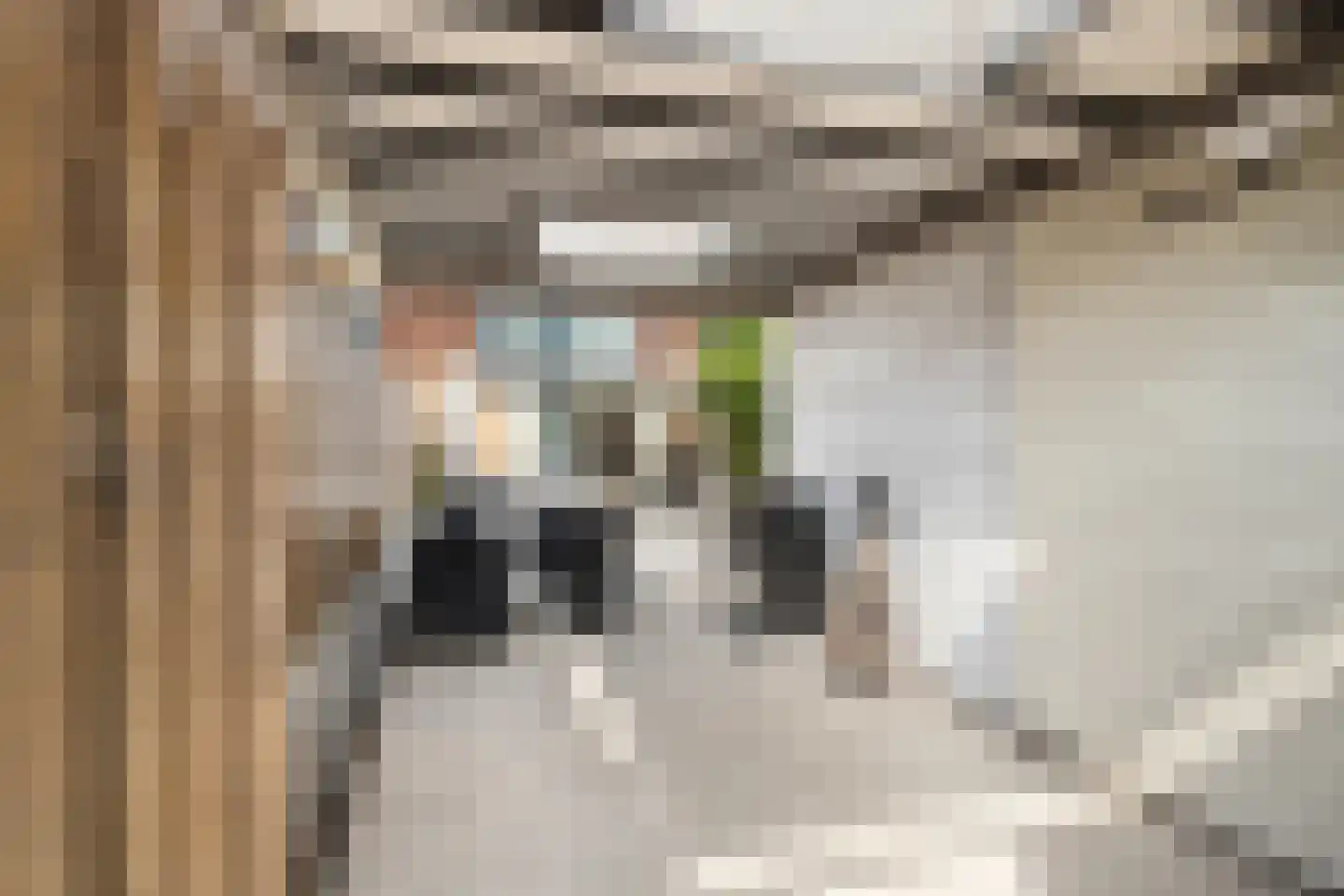 Van Ewijckstraat 14 Dordrecht thumbnail 38