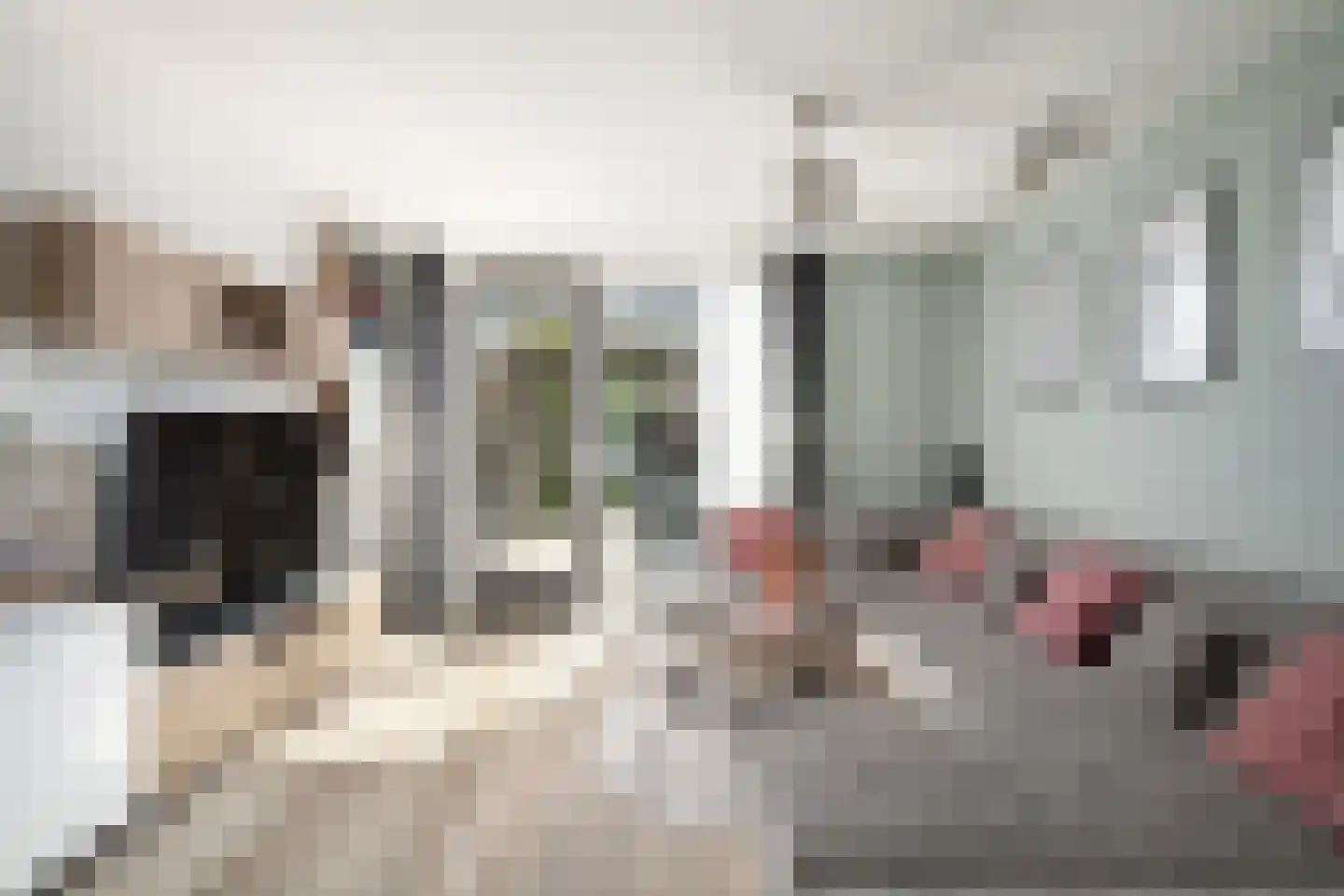 Van Ewijckstraat 14 Dordrecht thumbnail 8