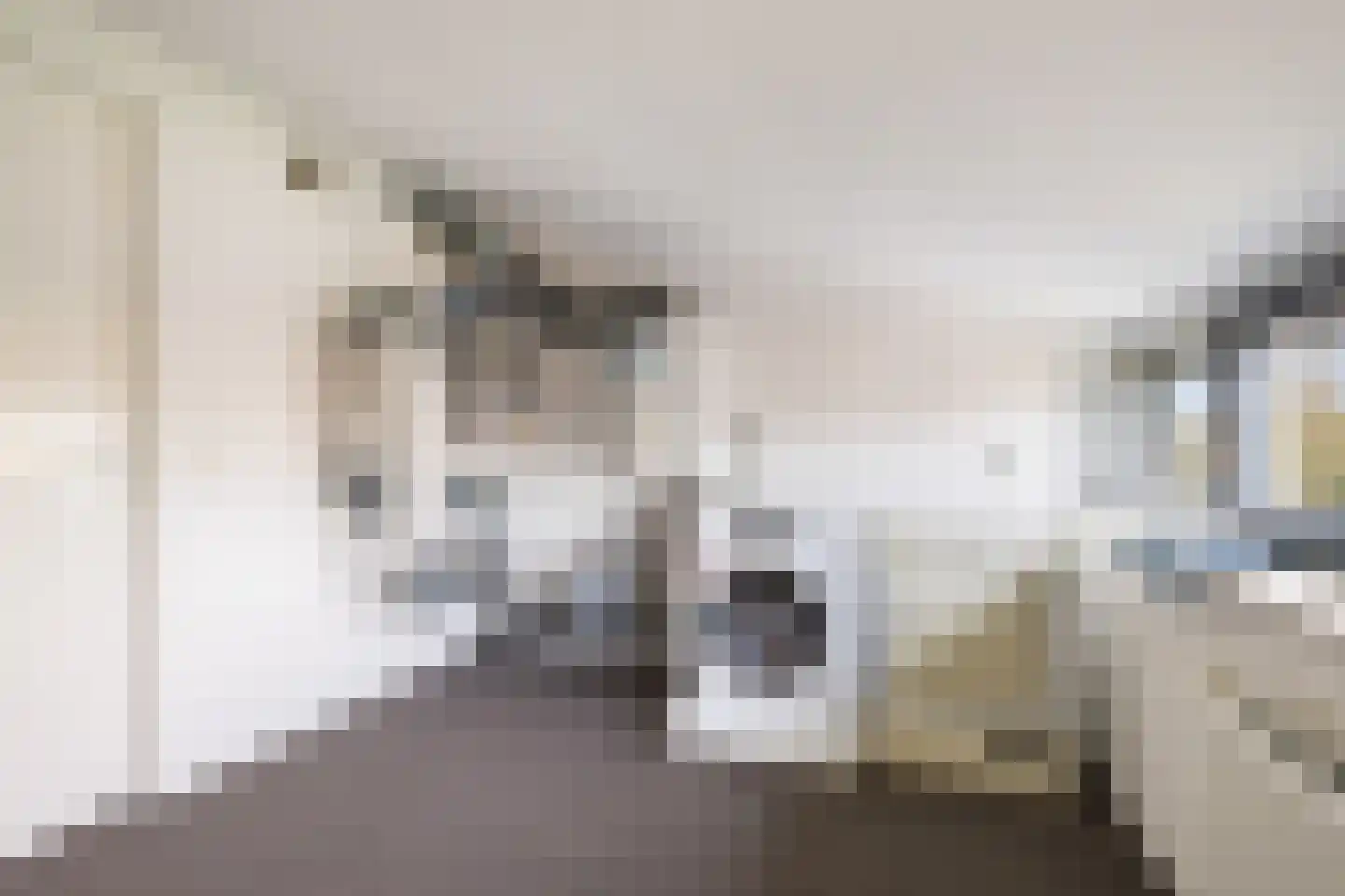 Van Ewijckstraat 28 Dordrecht thumbnail 25