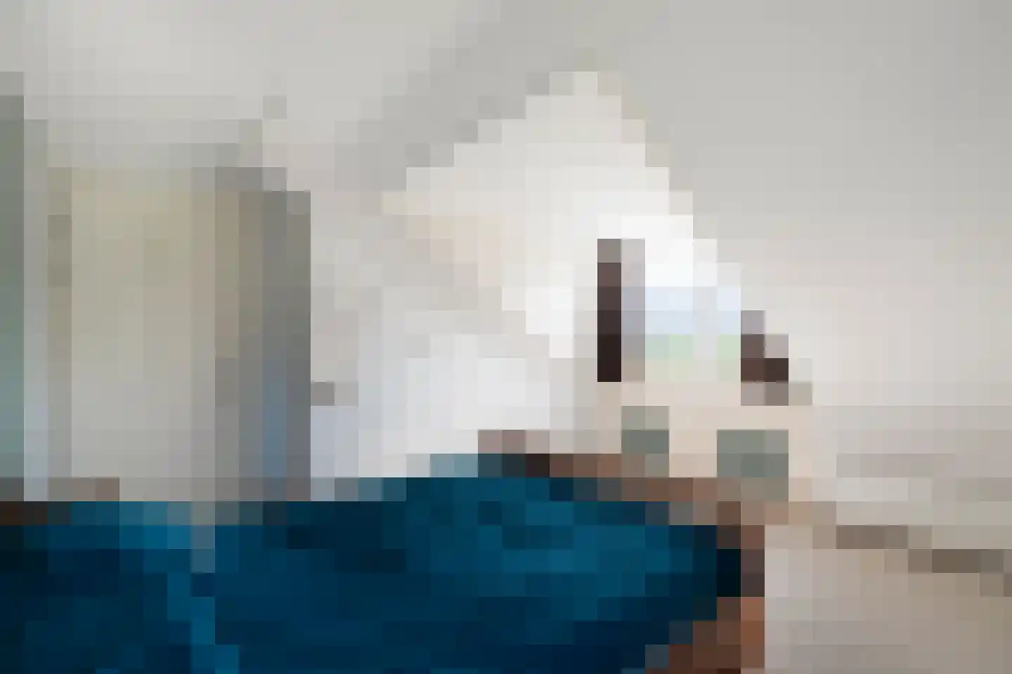 van Ewijcksvaart 24 Anna Paulowna thumbnail 32