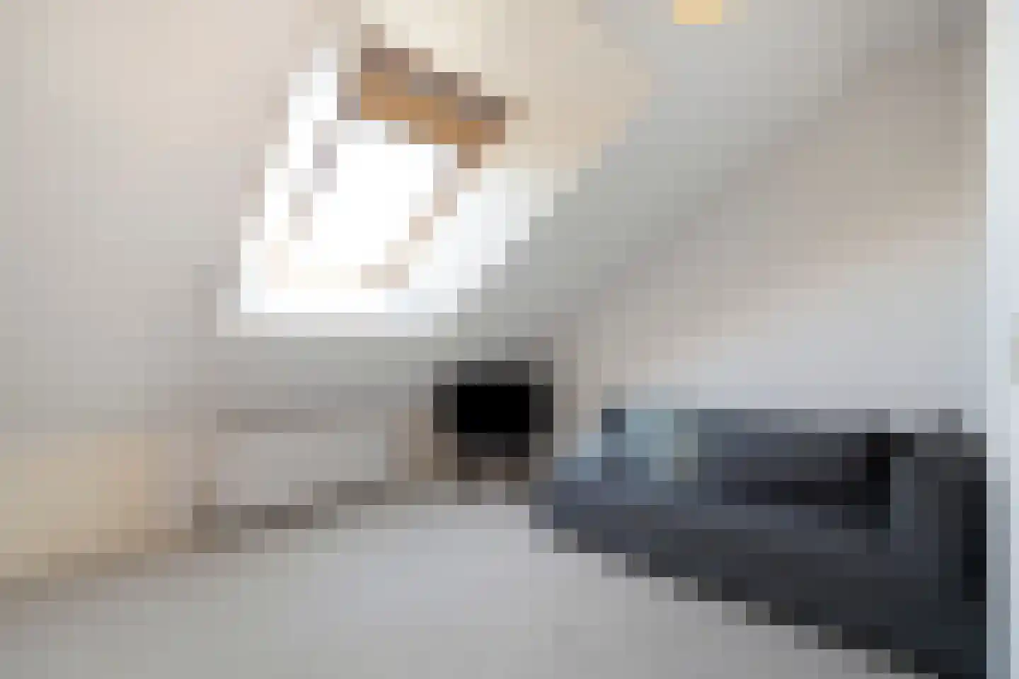 van Ewijcksvaart 24 Anna Paulowna thumbnail 36