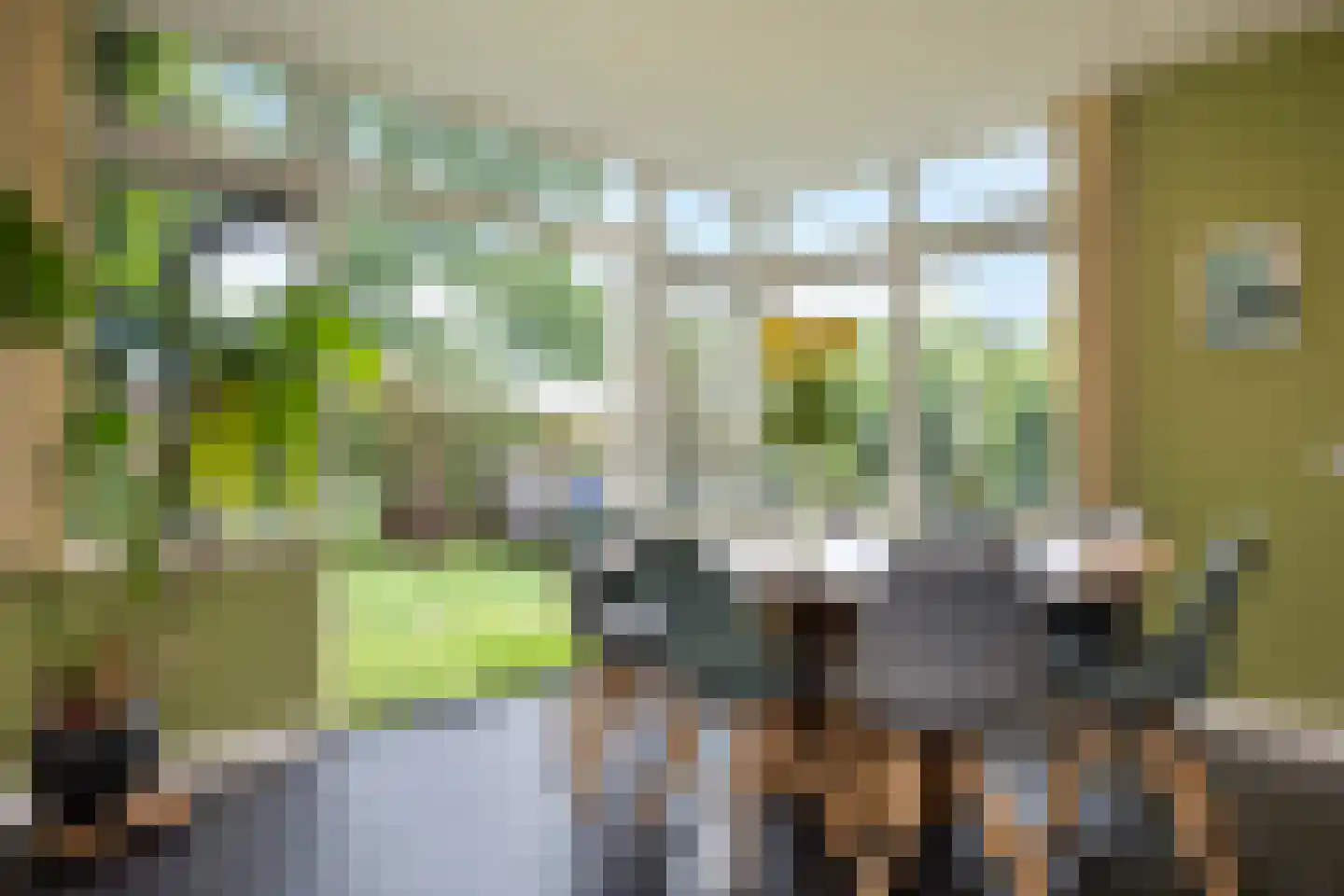 van Ewijkweg 14 Oosterbeek thumbnail 18