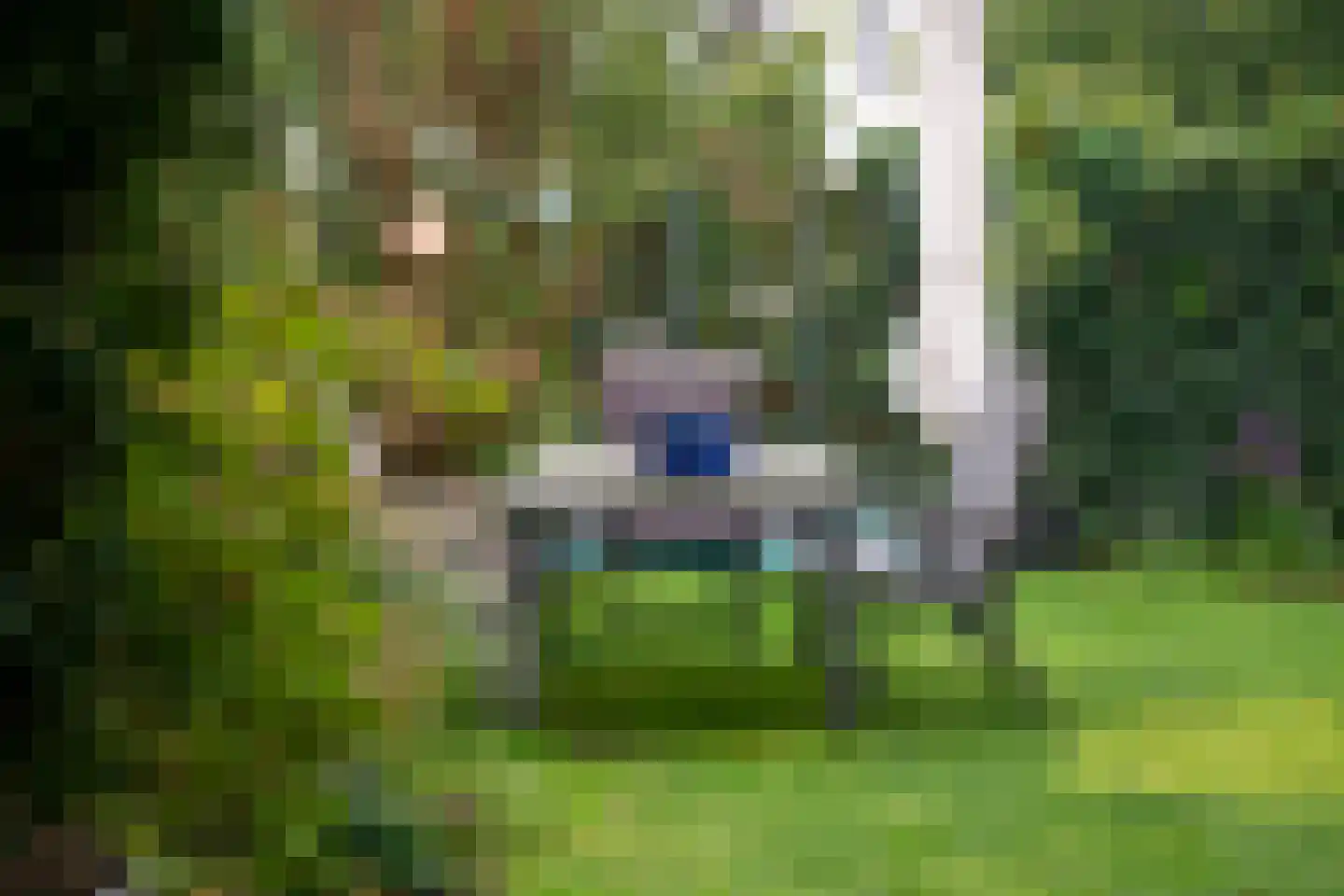 van Ewijkweg 14 Oosterbeek thumbnail 53