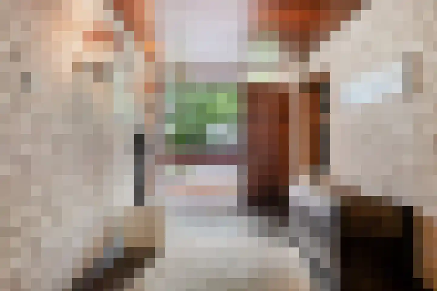 van Ewsumlaan 4 Roden thumbnail 23