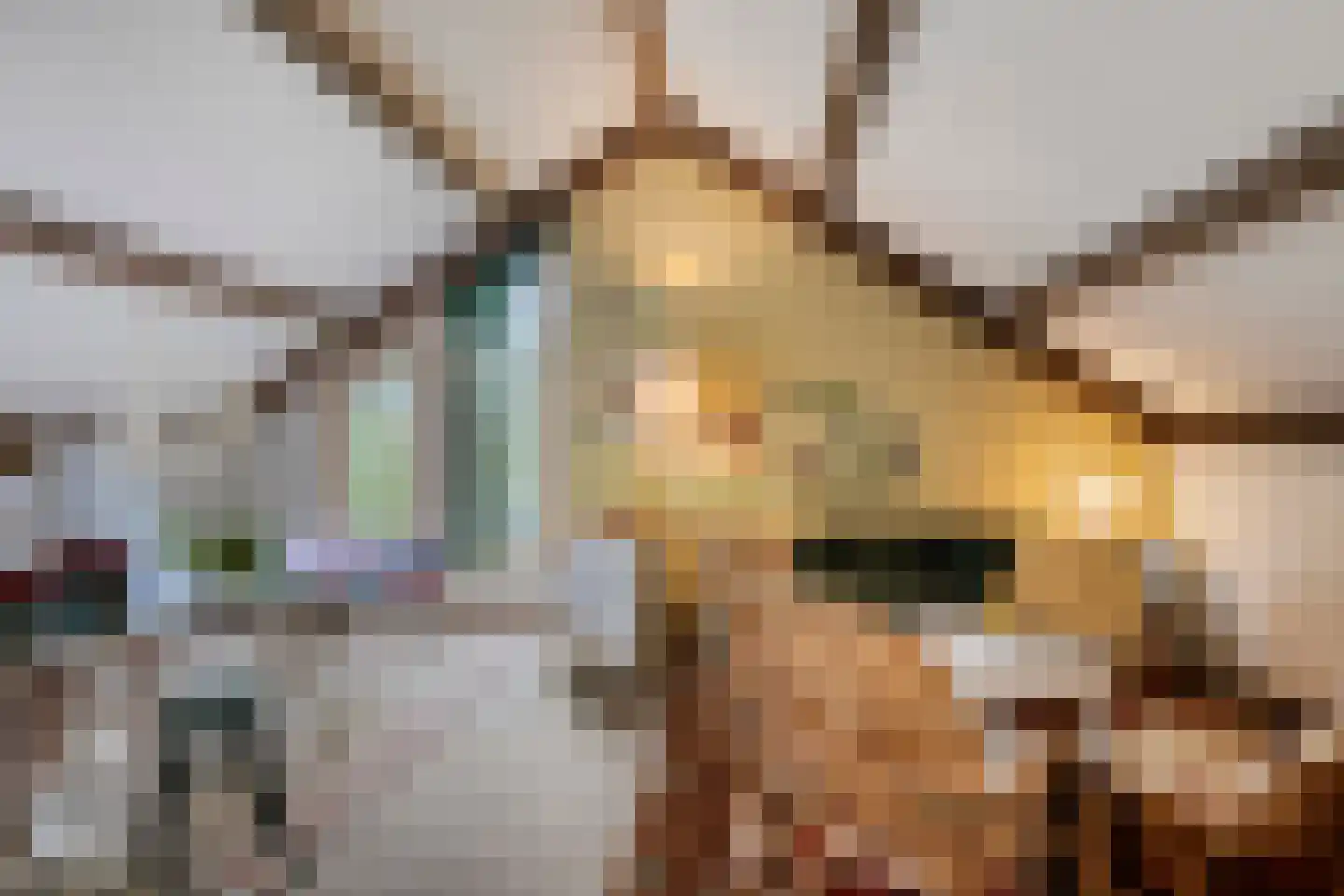 van Ewsumlaan 4 Roden thumbnail 27