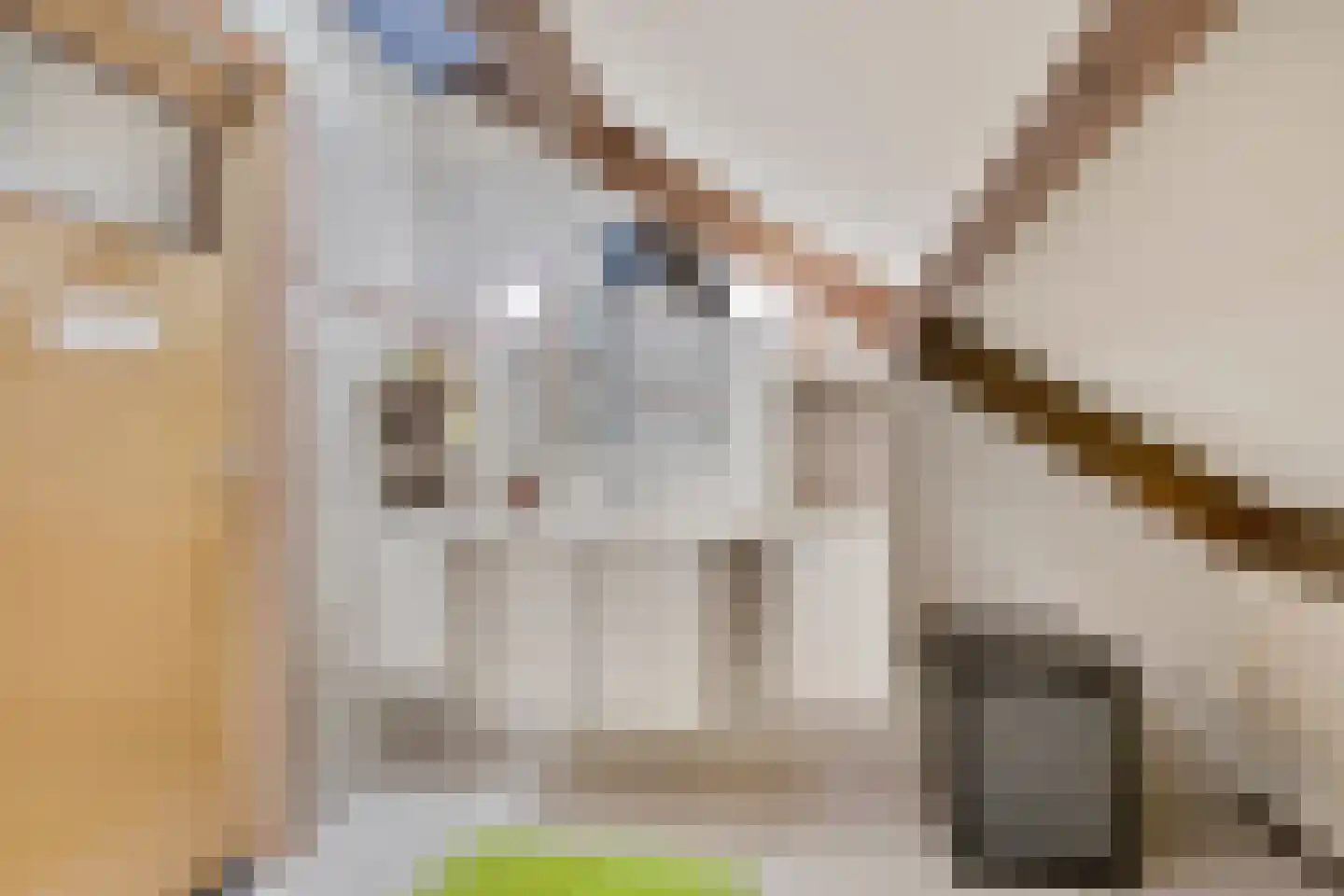 van Ewsumlaan 4 Roden thumbnail 33