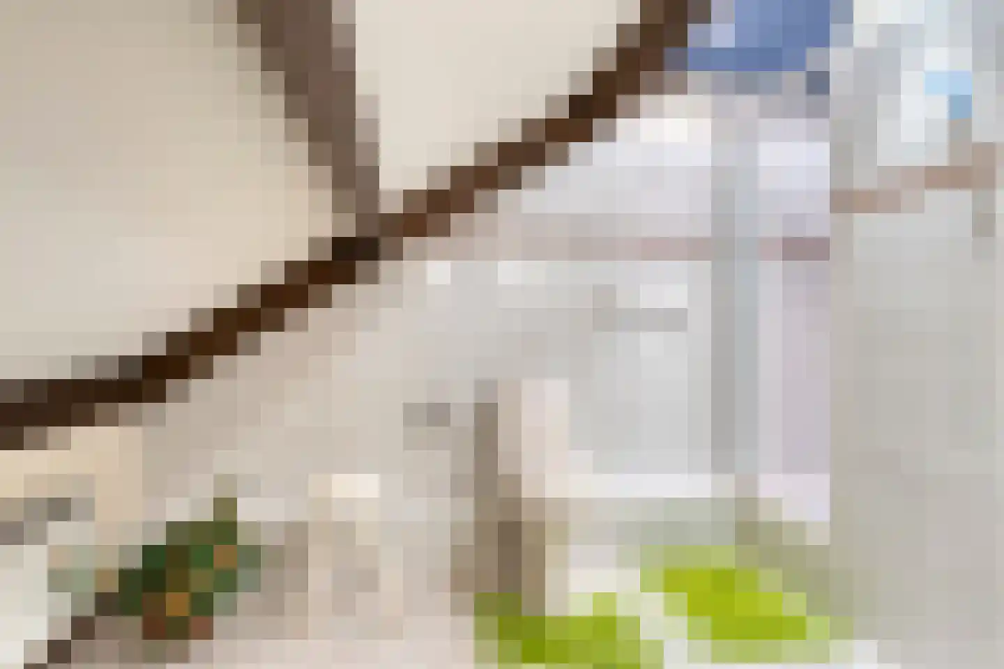 van Ewsumlaan 4 Roden thumbnail 34