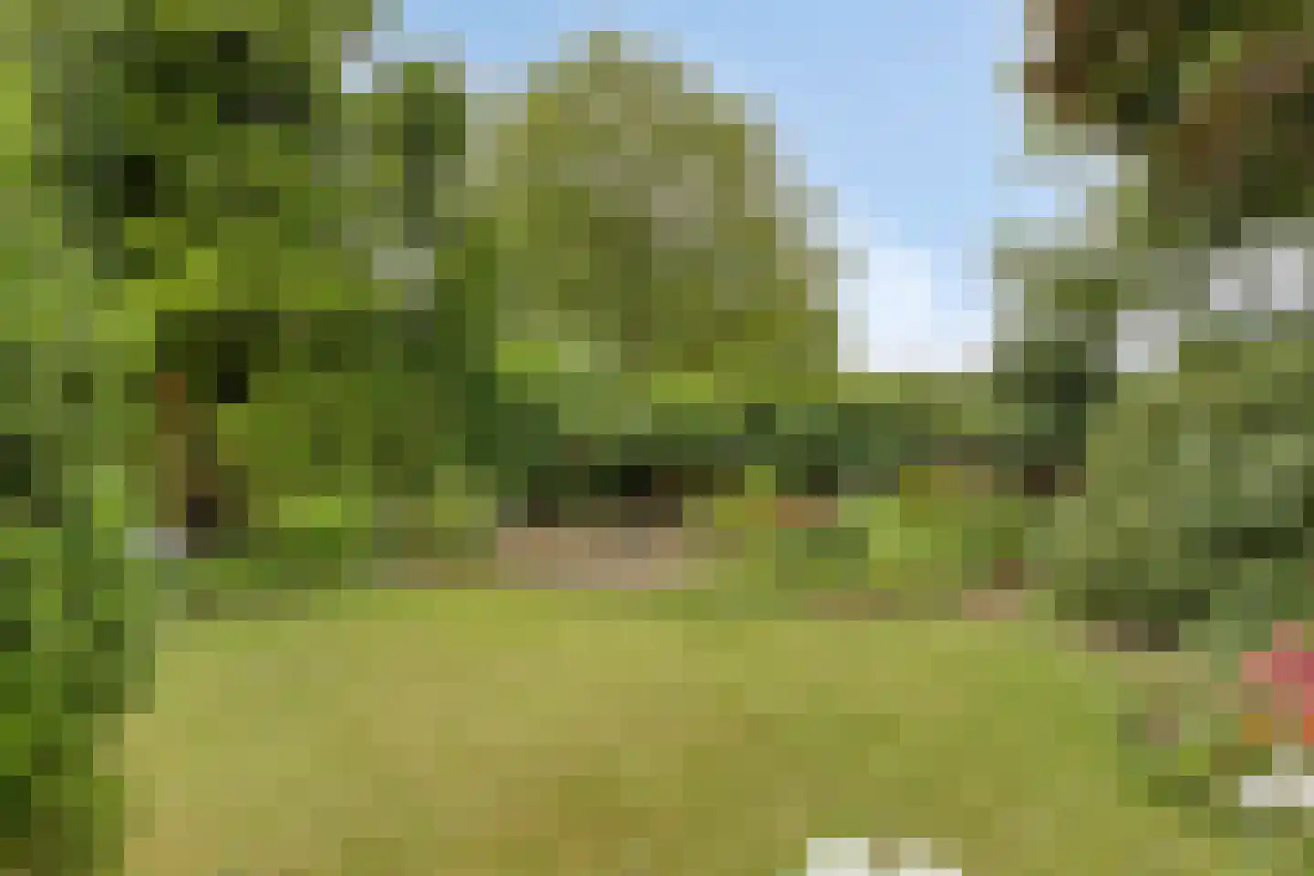 van Ewsumlaan 4 Roden thumbnail 36