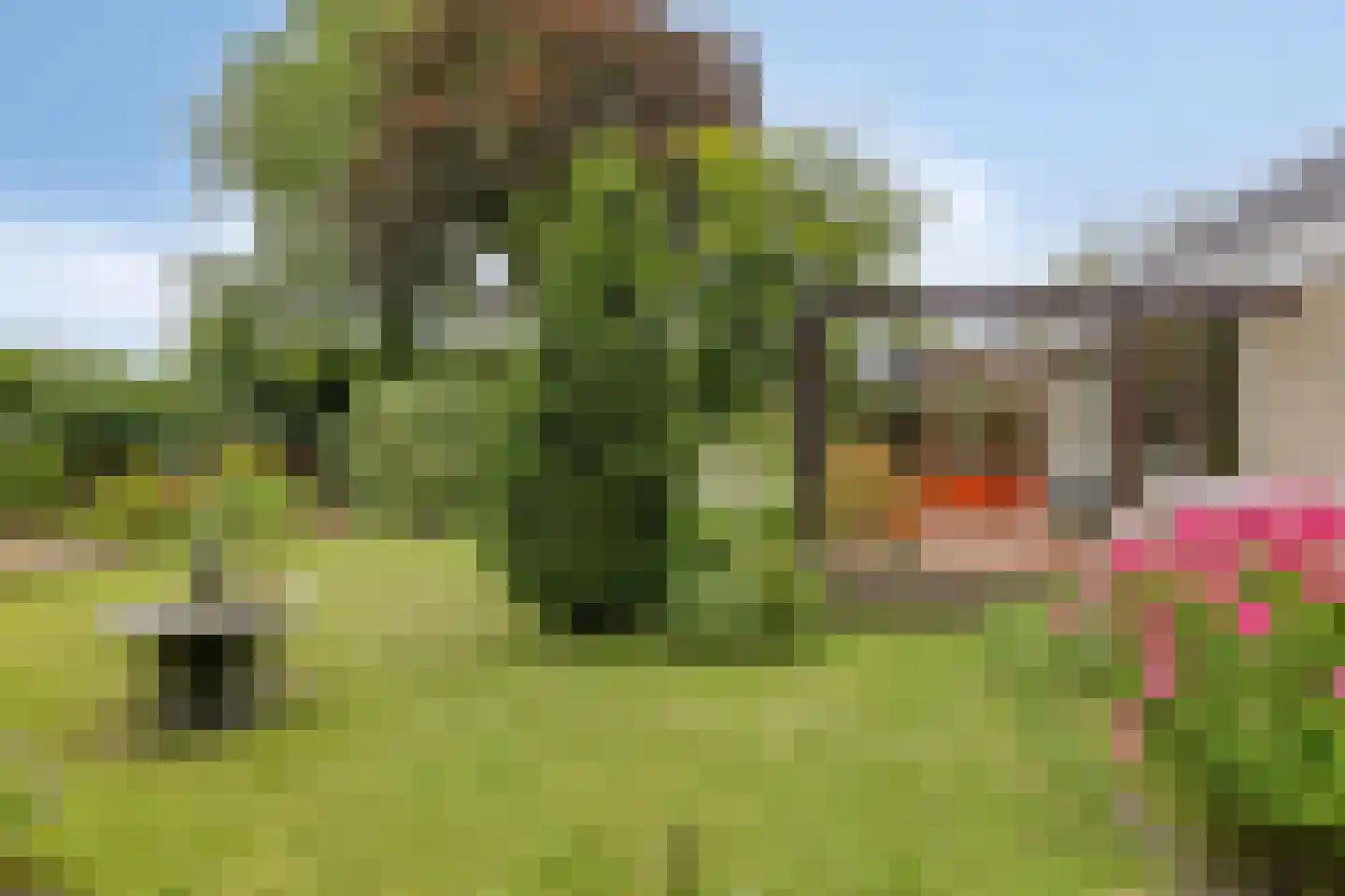 van Ewsumlaan 4 Roden thumbnail 37