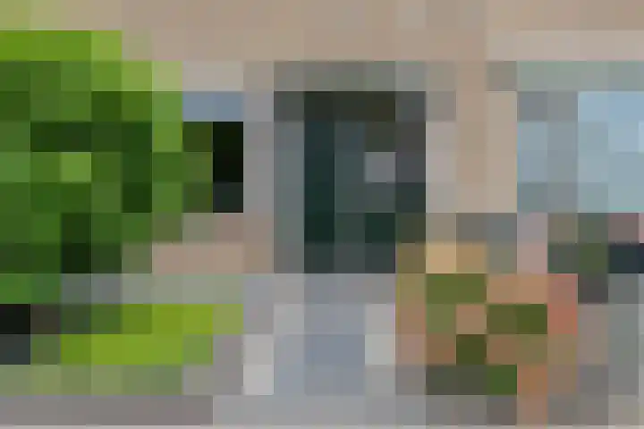 van Ewsumlaan 54 Coevorden thumbnail 4