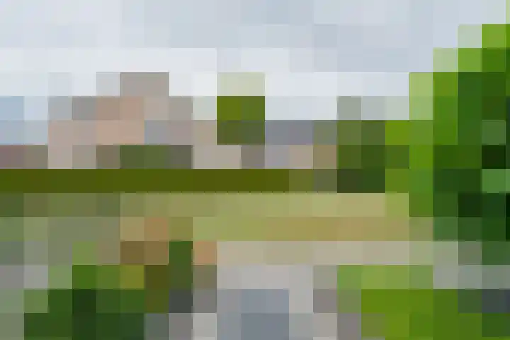 van Ewsumlaan 54 Coevorden thumbnail 5