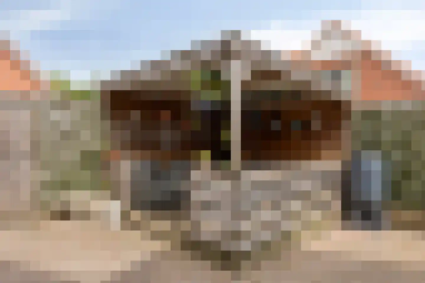 Van Ewsumstraat 17 Groningen thumbnail 25