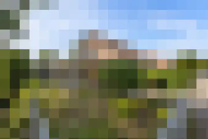Van Ewsumstraat 62 Marum thumbnail 37